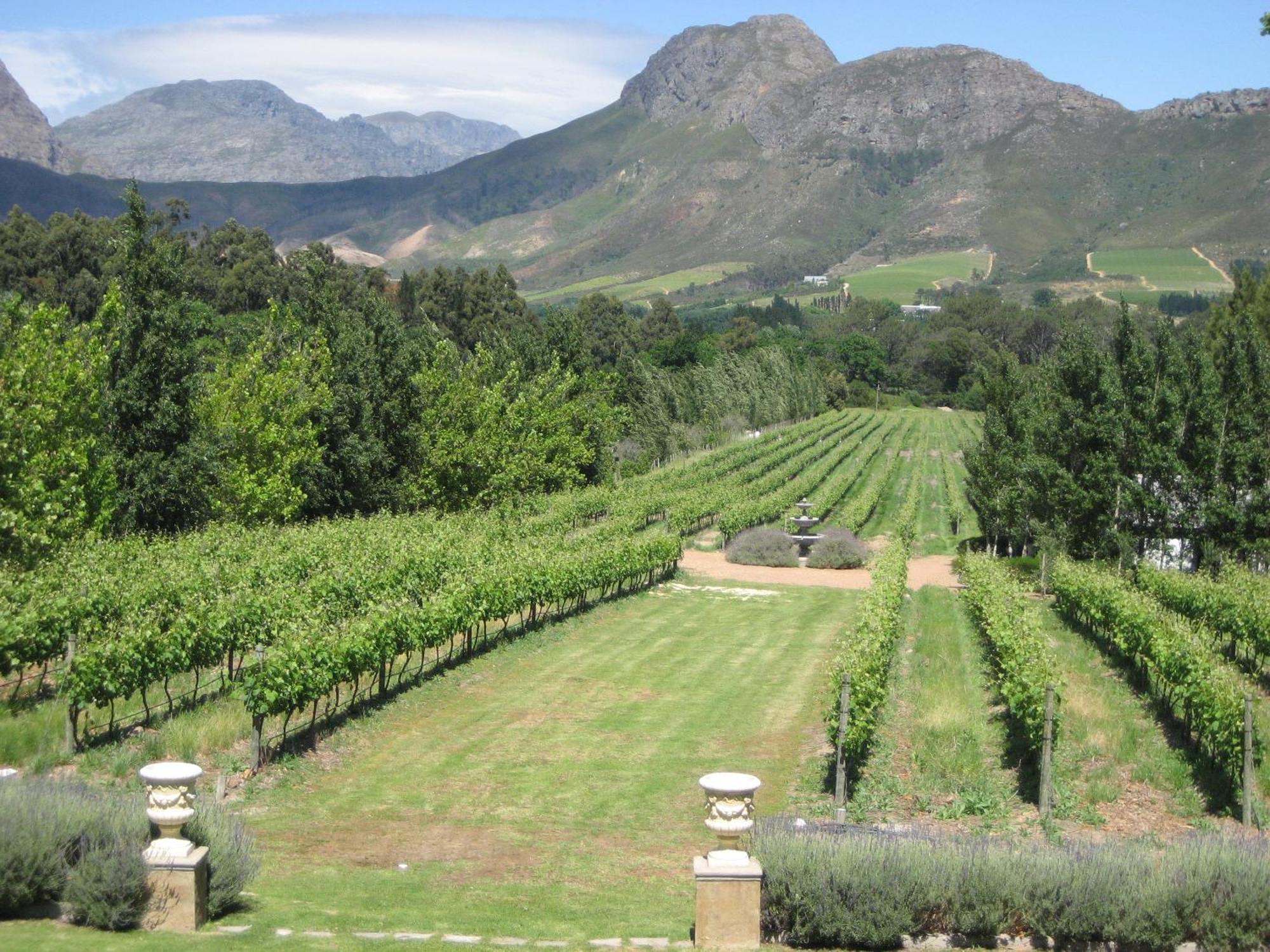 Franschhoek Rose Cottages Екстер'єр фото