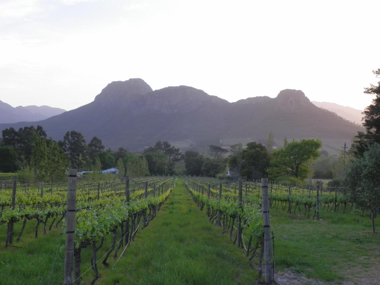 Franschhoek Rose Cottages Екстер'єр фото